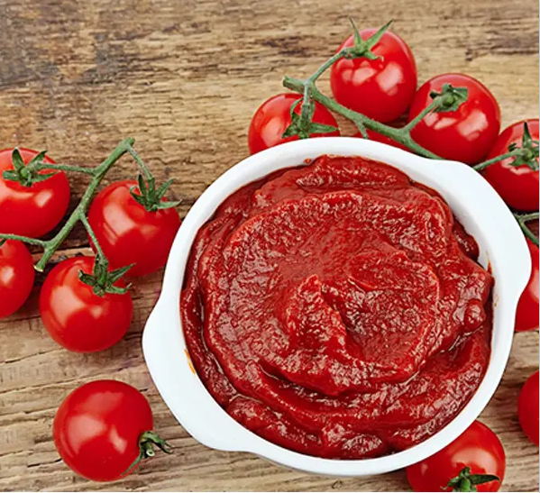 食品级添加剂蔬菜提取物脱水番茄粉