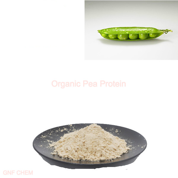 食品添加剂级有机豌豆蛋白 CAS 90-10-0